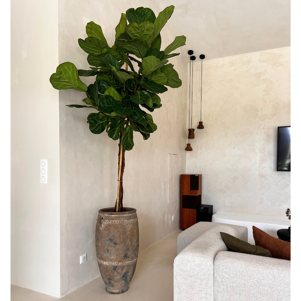 Jarre Kodong Antique