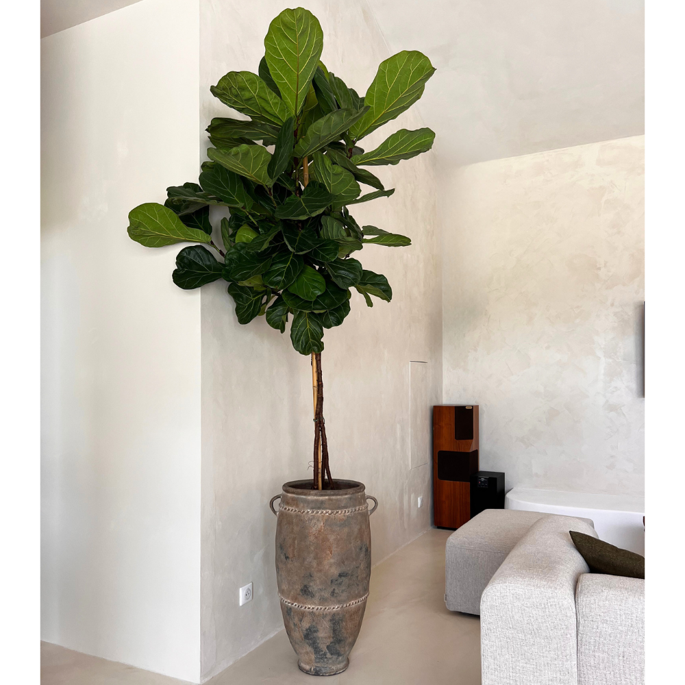 Jarre Kodong Antique