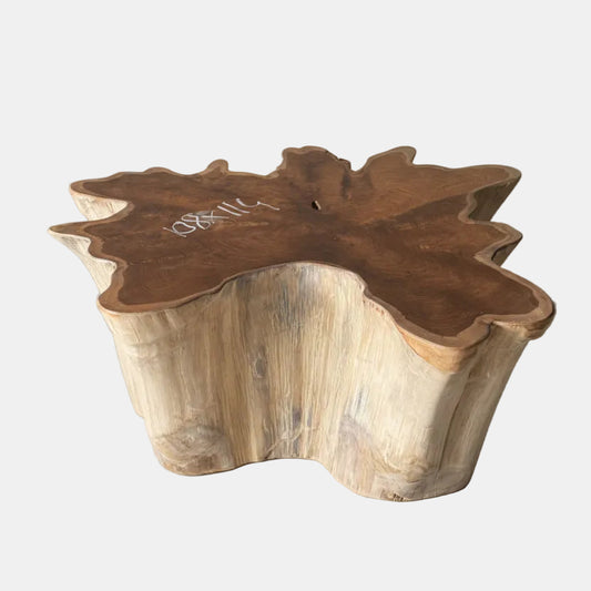 Table basse racine étoile 108 x 114 cm