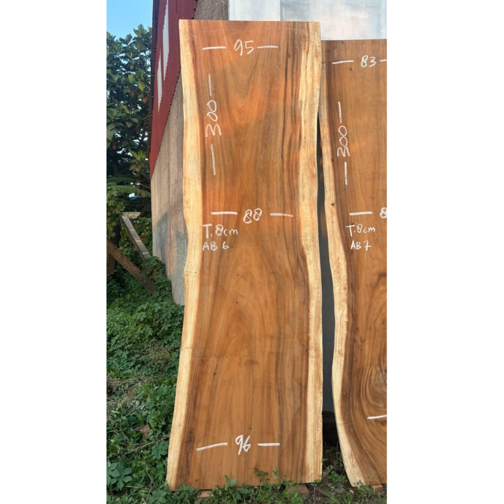 300 x 88-96 cm - Bois de Suar