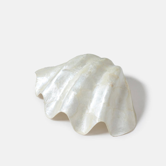 Vide poches coquillage XL