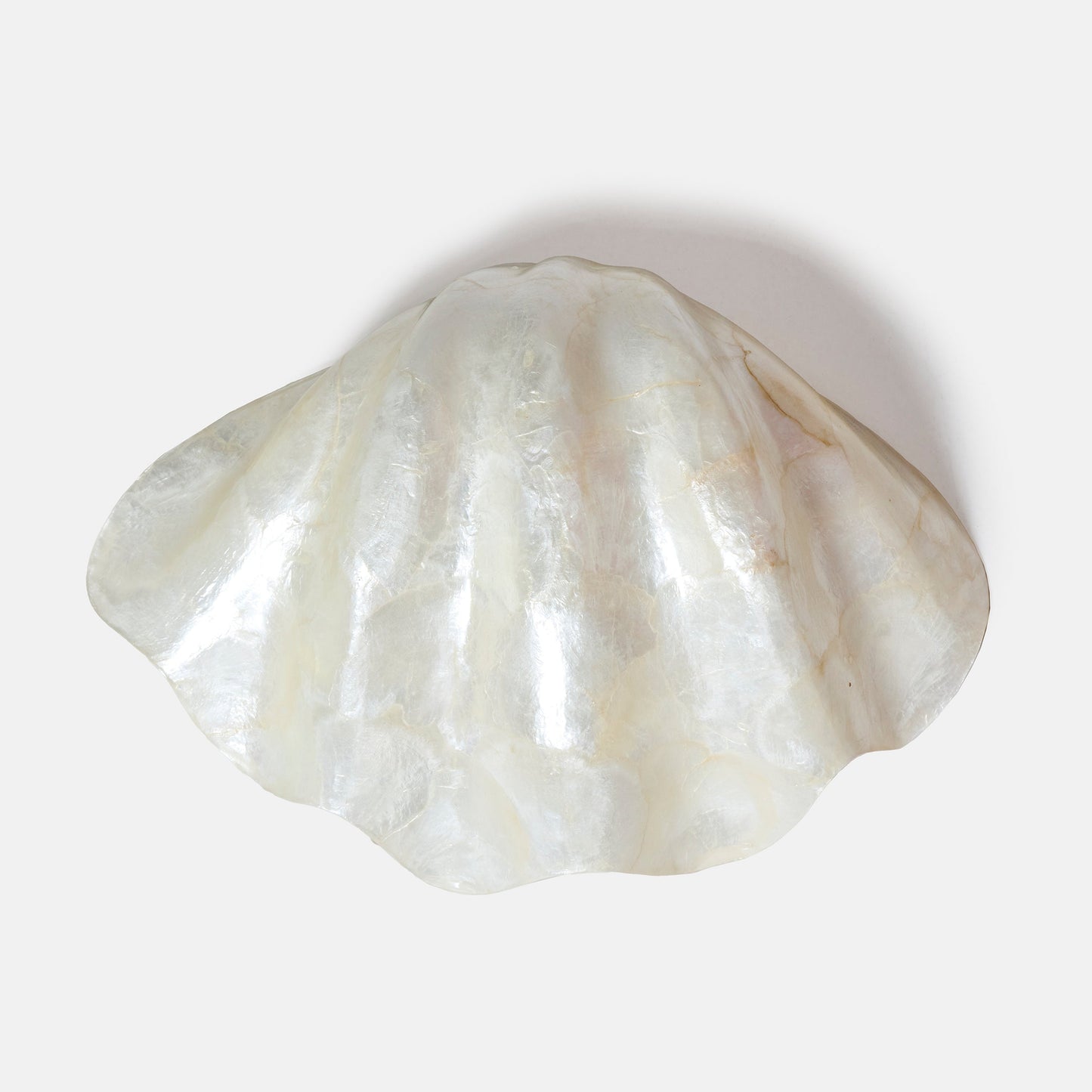 Vide poches coquillage XL