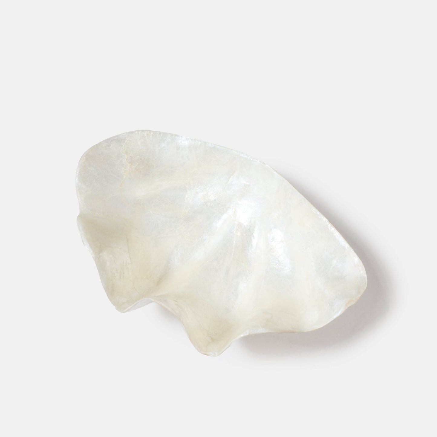 Vide poches coquillage XL