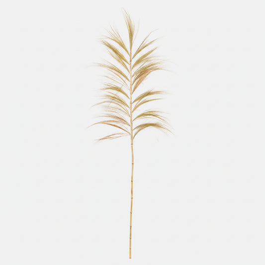 Pampa décoratif - Plumes abaca