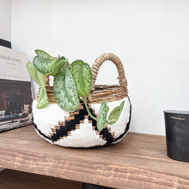 Panier Campur