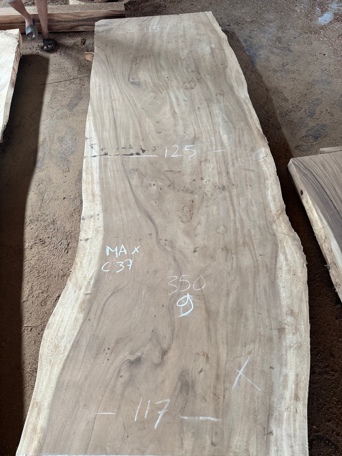 350 x 115 - 125 cm C37