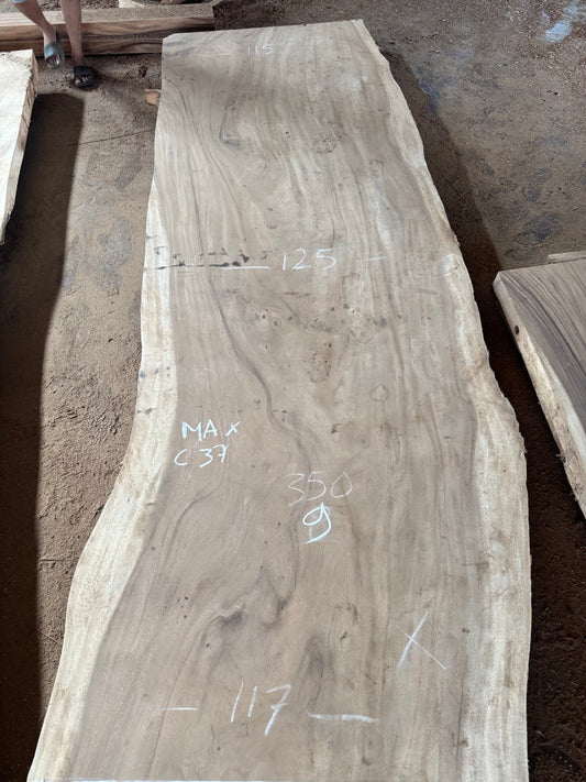 350 x 115 - 125 cm C37
