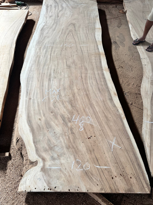 400 x 120 - 130 cm C38