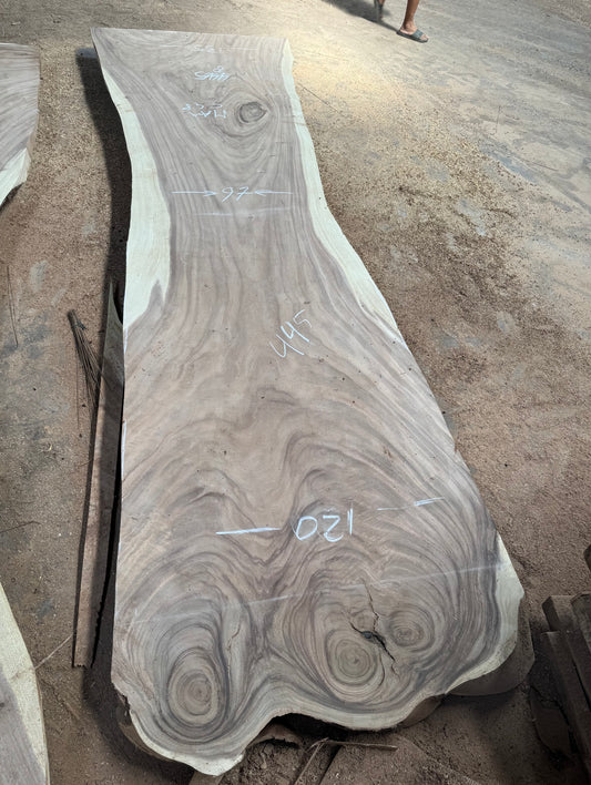 445 x 97 - 135 cm C48