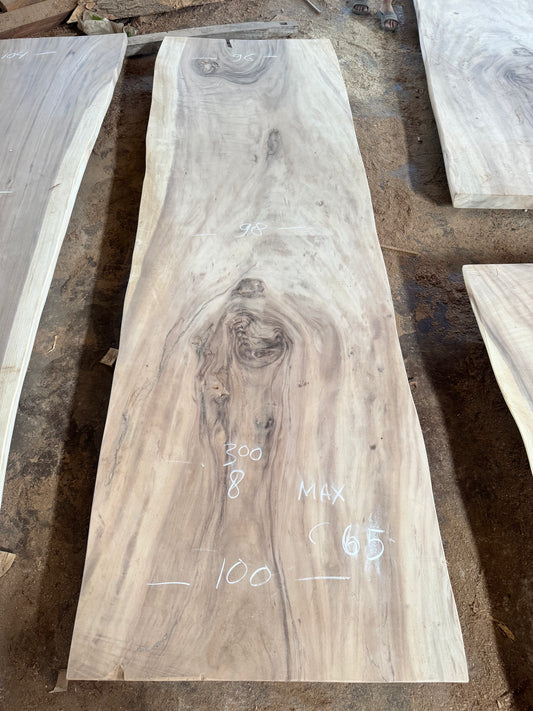 300 x 96 - 100 cm C65