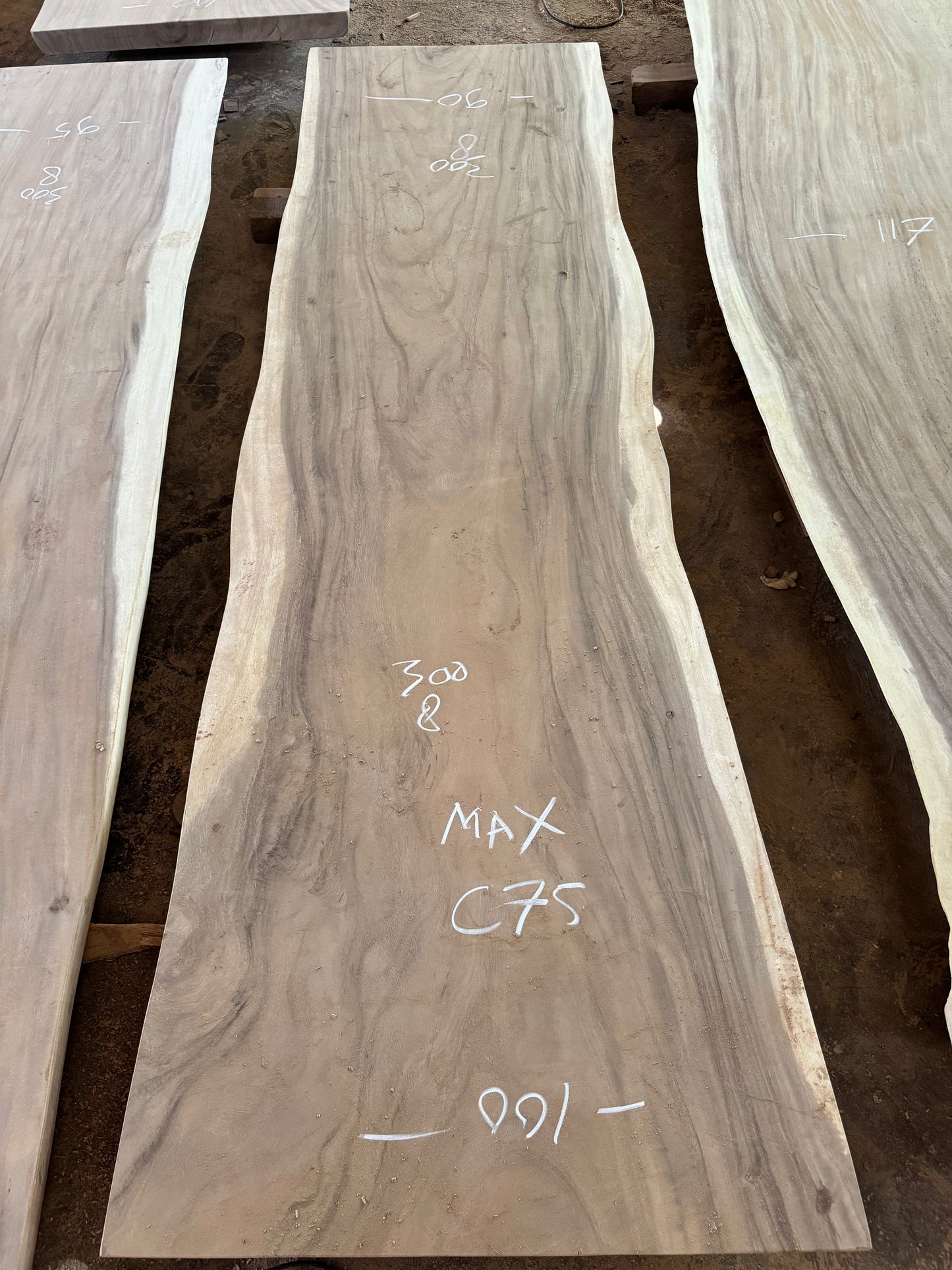 300 x 90 - 100 cm C75