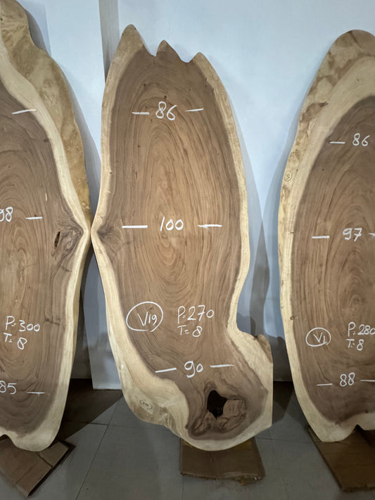 270 x 86 - 100 cm V19