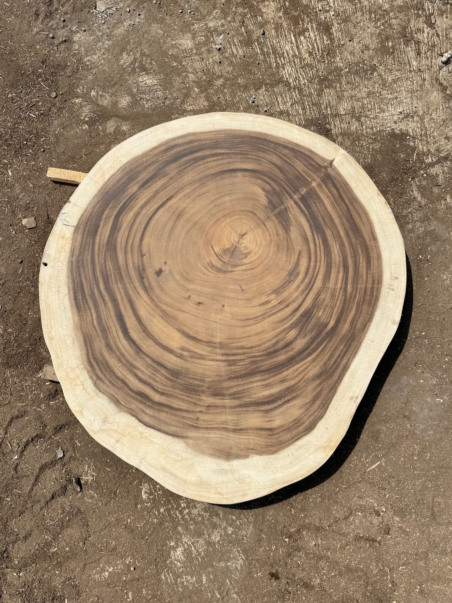Table basse cookie en bois de suar massif 80 × 74 cm K219