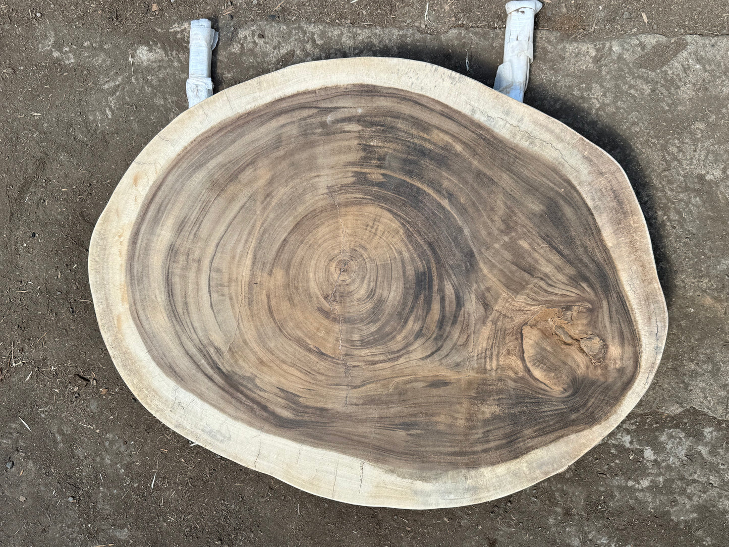 Table basse cookie en bois de suar massif 92x69x8 cm - K721