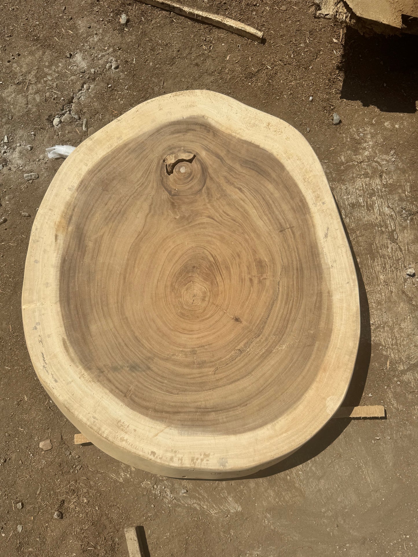 Table basse cookie en bois de suar massif 92x80x8 cm - K755