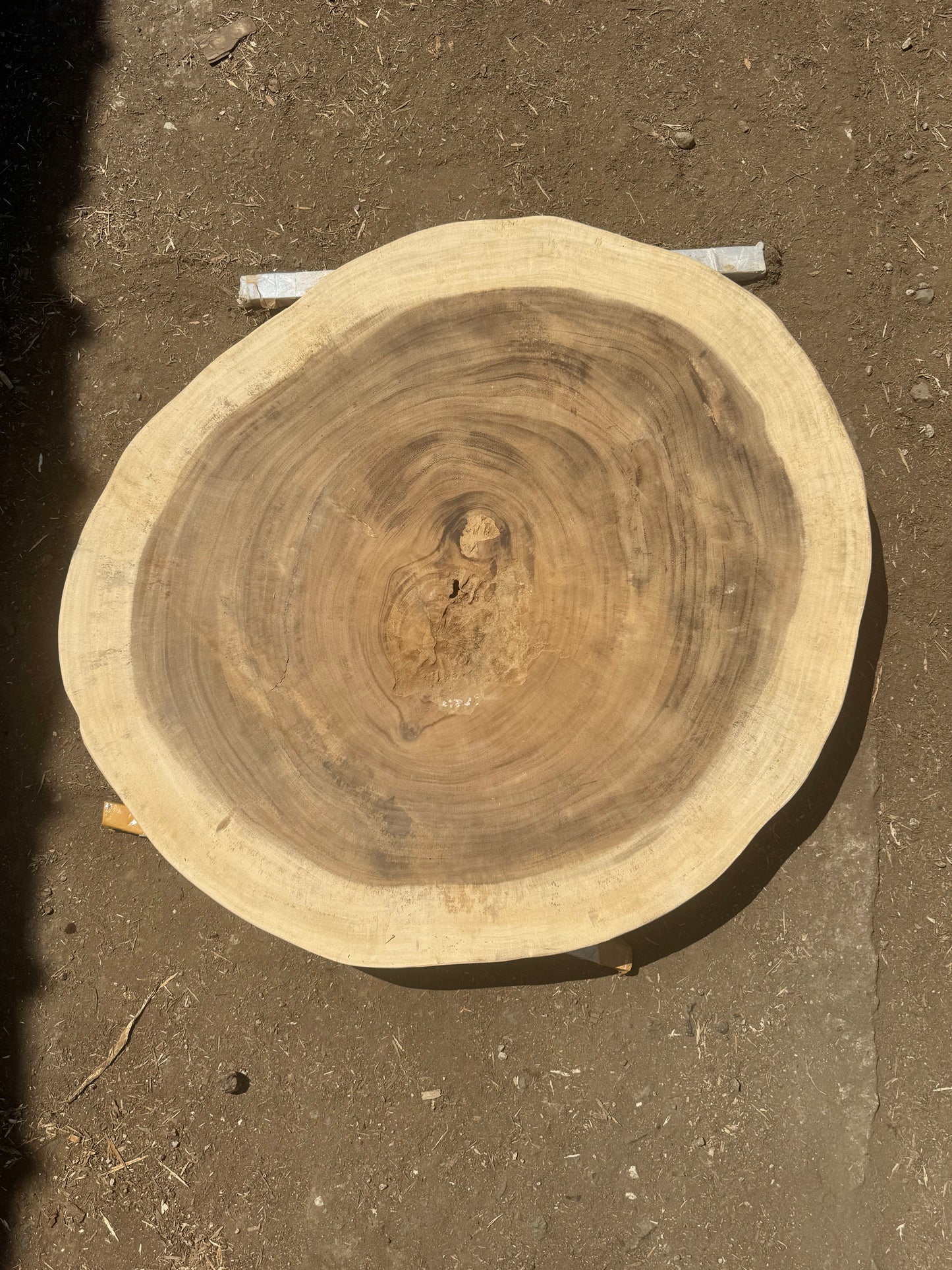Table basse cookie en bois de suar massif 91x81x8 cm - K765