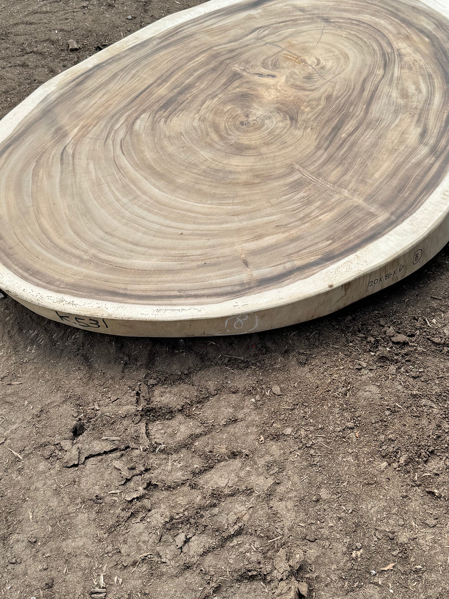Table basse cookie en bois de suar massif 120x86x6 cm - K531