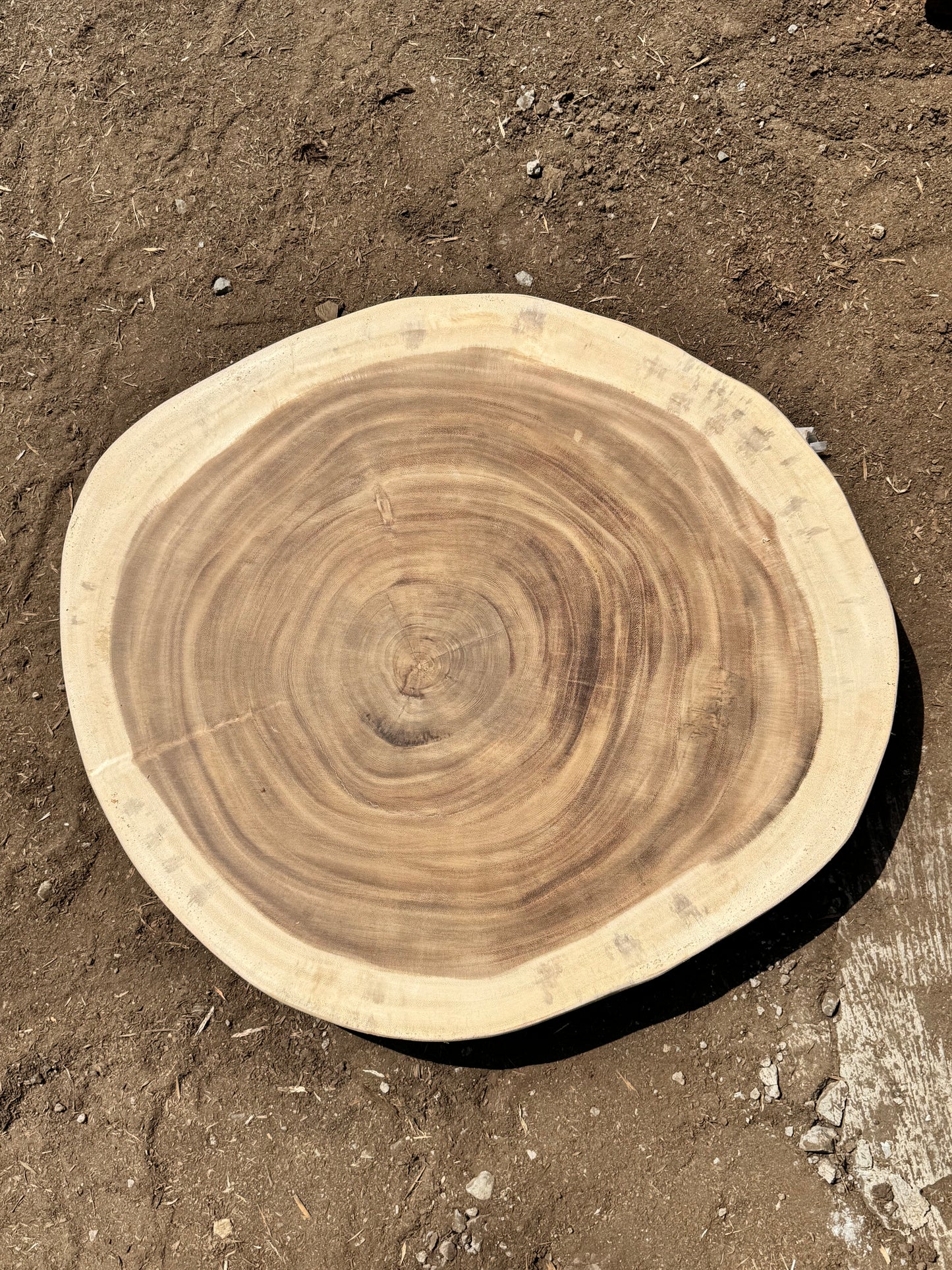 Table basse cookie en bois de suar massif 84 × 75 × 8 cm K753