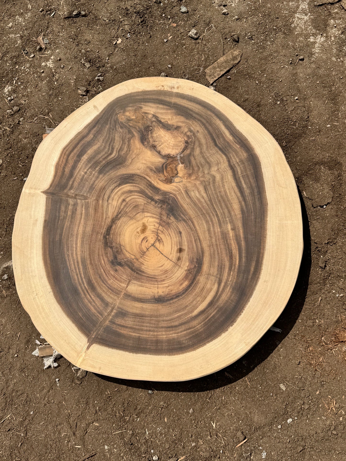 Table basse cookie en bois de suar massif 78×71×6 cm  K844
