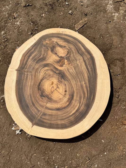 Table basse cookie en bois de suar massif 78×71×6 cm  K844