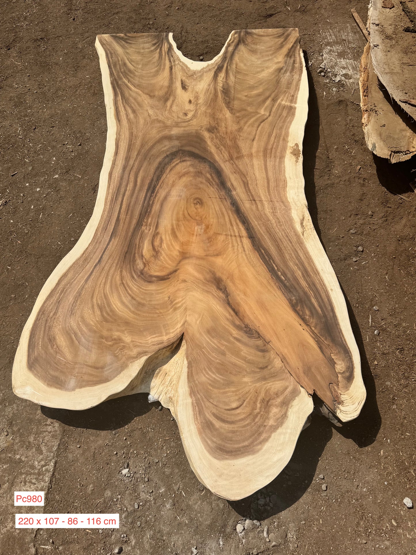220 x 86 - 116 cm pc980